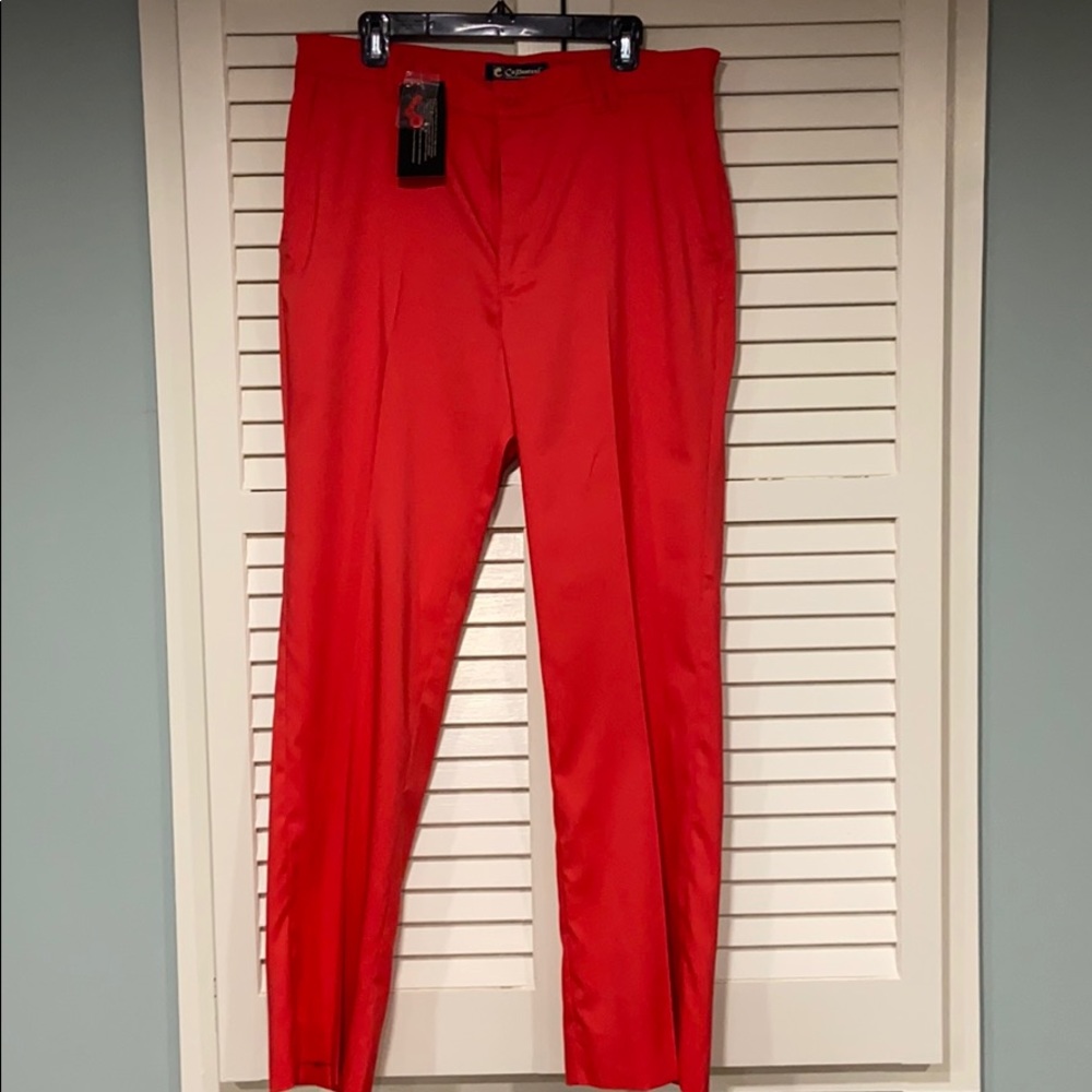 CaPantzzi mens pants, elastic waist. Size 36.